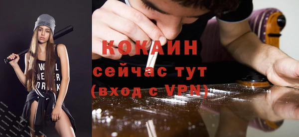 спайс Богородицк