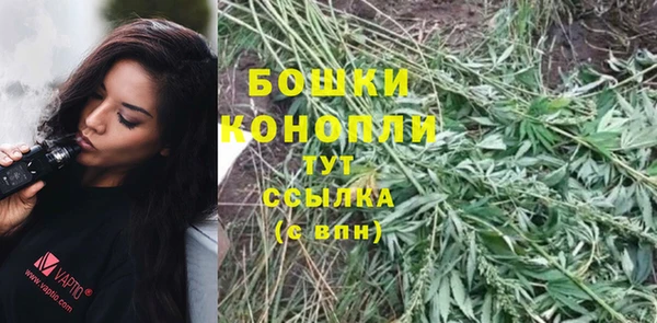 стафф Богданович