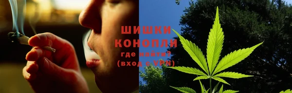 стафф Богданович